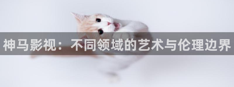 magnet下载 电影天堂：神马影视：不同领域的艺术与伦理边界