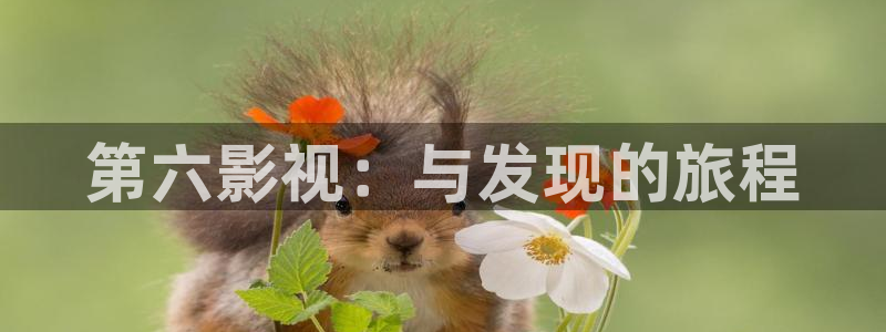 情人电影天堂：第六影视：与发现的旅程