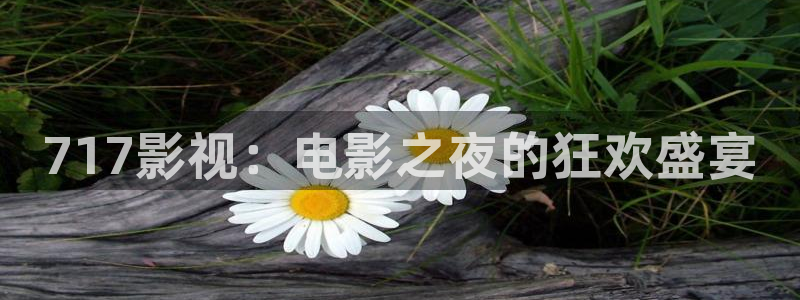 天堂电影免费在线观看官网：717影视：电影之夜的狂欢盛宴