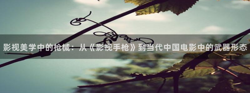 成人看片天堂：影视美学中的枪械：从《影视手枪》到当代中国电影中的武器形态