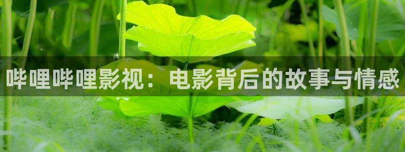 桃花扇电影天堂：哔哩哔哩影视：电影背后的故事与情感