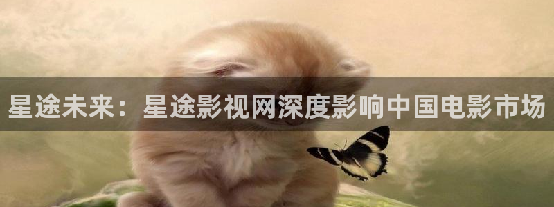 男人天堂电影在线观看：星途未来：星途影视网深度影响中国电影市场